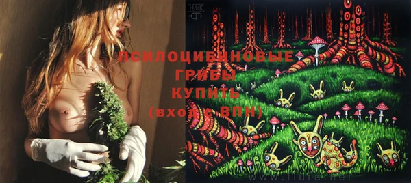 СК Алзамай