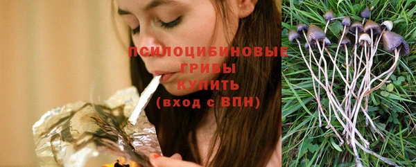прущий лед Алексин